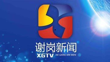 谢岗爆料新闻视频大全,聚焦热点事件，揭秘幕后真相  第1张